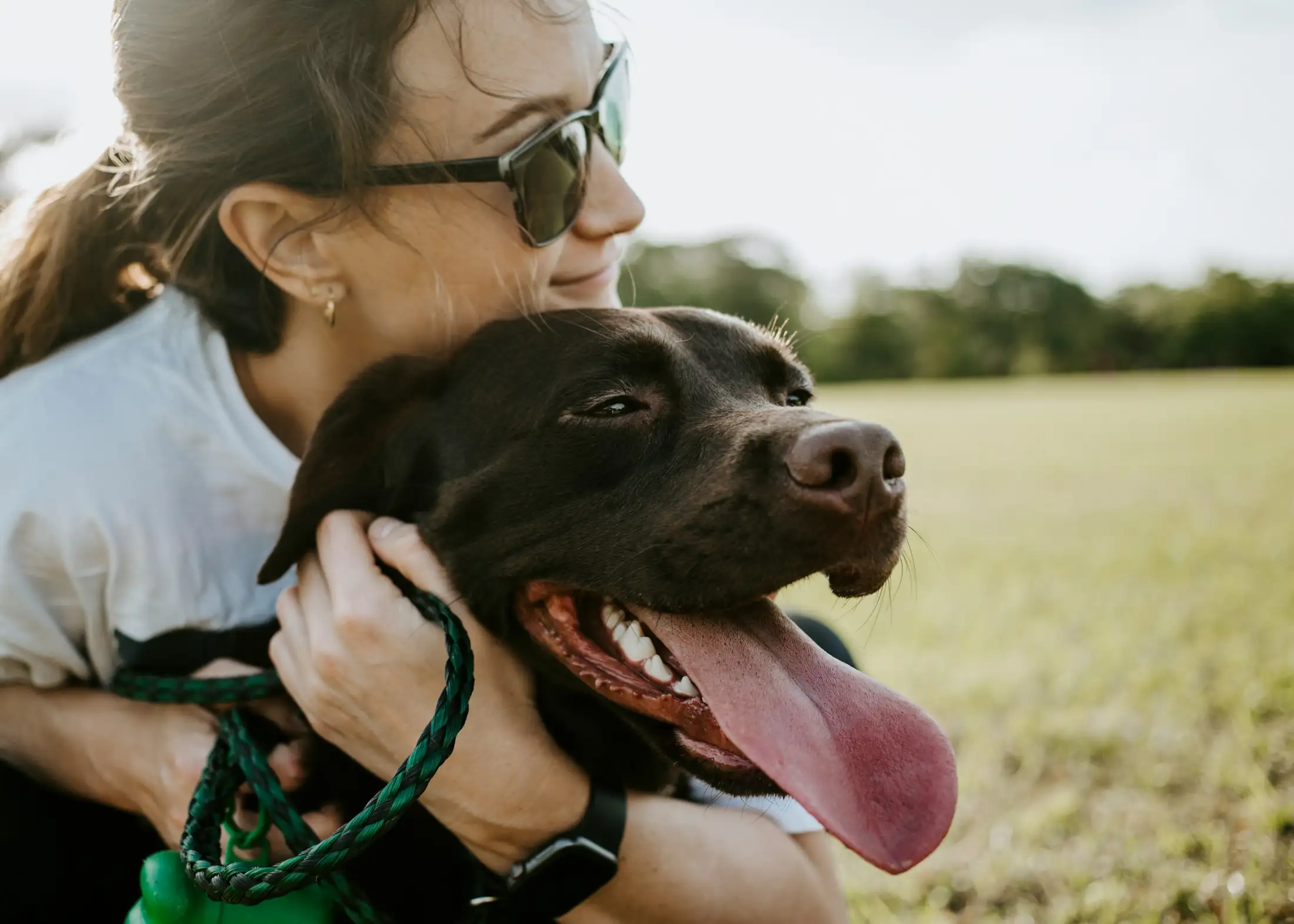 Rescue dog